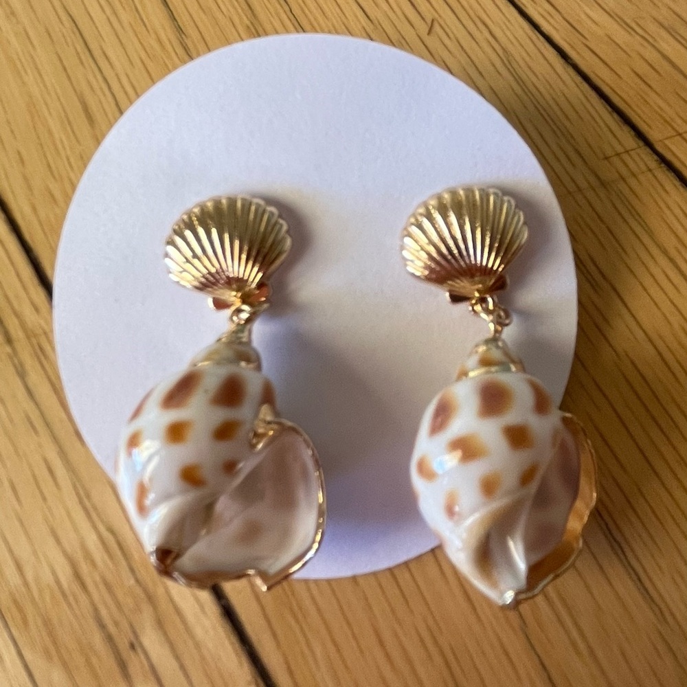 Real shell earrings